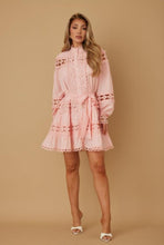 Load image into Gallery viewer, Rosae Mini Dress
