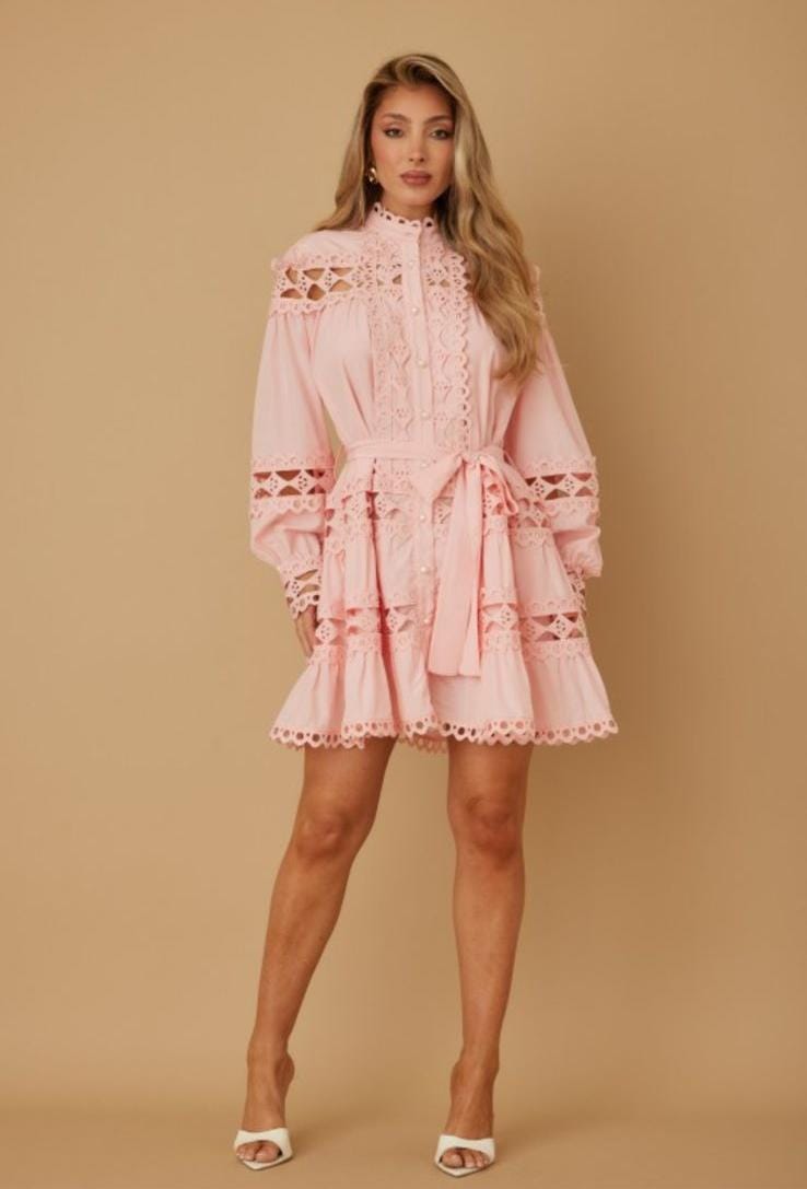 Rosae Mini Dress