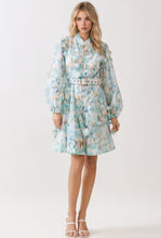 Cargar imagen en el visor de la galería, Mirey Dress
