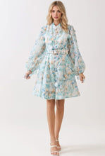 Cargar imagen en el visor de la galería, Mirey Dress
